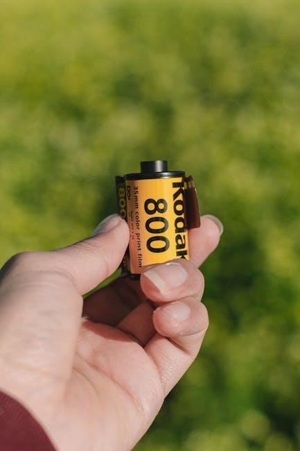kodak pixpro az255 manual