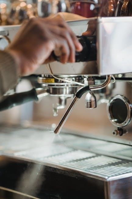cafe dishwasher manual pdf