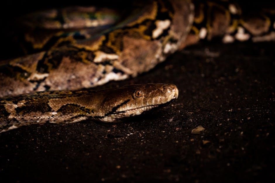 head first python 3rd pdf