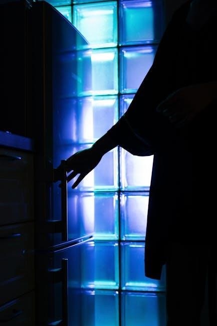 ever chill refrigerator manual
