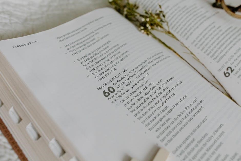 bible recap reading plan 2024 pdf
